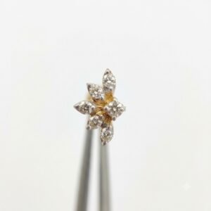 Artisanal Nose Ring Collection | Handcrafted by Hussain Gems, Kolkata